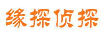 谢家集侦探